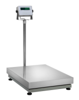 Plattformwaage 60 kg