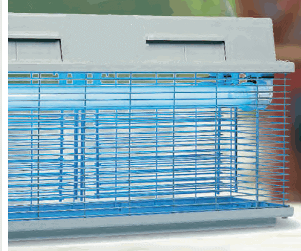 Insect trap 307A